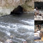se disputan boqueron