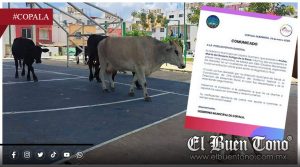 Primer caso de miasis humana por gusano barrenador en Guerrero es detectado en Copala