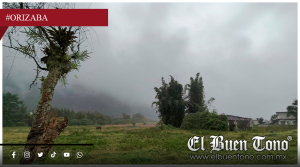 Campo en caída libre: México ya no se alimenta a sí mismo, advierte la CNC Orizaba