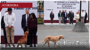 Farsa administrativa y manipulación mediática: Alonso Cerezo quedó exhibido tras el caso del Güero