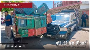 Carambola deja cuatro lesi0nados en la colonia Dos Caminos de Veracruz