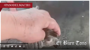 La promesa incumplida en Paso del Macho; más de 15 días de sequía y un “goteo” que no resuelve la crisis