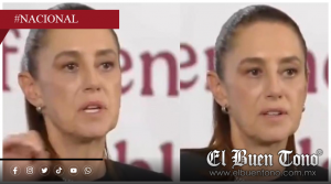 Sheinbaum advierte que denunciará cuentas en redes que promuevan vi0lεncia contra ella