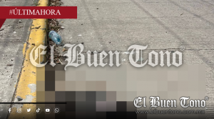 Protectoras de animales piden justicia por perrito  en Papantla