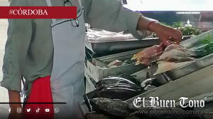 Aumenta precio de pescados y mariscos por Cuaresma