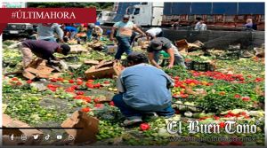 SOBRECARGA DE TRACTOCAMIÓN PROVOCA CHOQUE, ROBO Y COLAPSO TOTAL EN LA AUTOPISTA 150D ORIZABA–PUEBLA; HAY UN LESIONADO