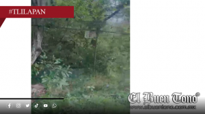 Reja abandonada en Tlilapan pone en riesgo a fauna silvestre del cerro