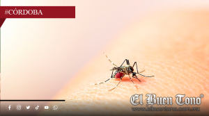 IMSS REPORTA 64 CASOS DE DENGUE EN CÓRDOBA EN LOS PRIMEROS TRES MESES DE 2026