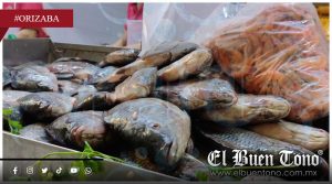 Contaminación en el Golfo am3naza precios y consumo de mariscos previo a Semana Santa