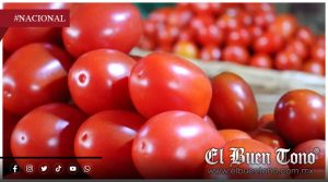 Inflación ‘golpea’ la mesa de los mexicanos: El jitomate rebasa los 40 pesos