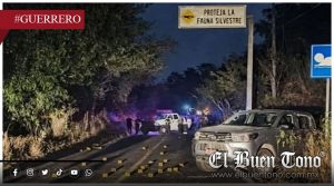 @ses¡n@n a b@laz0s a 2 funcionarios de Ayutla en carretera federal de Guerrero