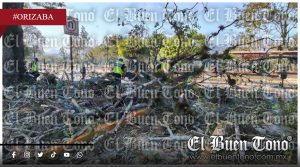 Caída de árbol derriba postes y deja sin luz a cientos de familias en Circunvalación