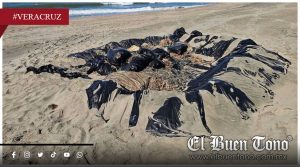 Manchas de hidrocarburo alertan a municipios costeros de Veracruz