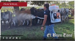 Confirman 8 casos de gusano barrenador en humanos en Veracruz