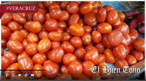 Aumenta precio del tomate en mercado Malibrán por bloqueos en Jalisco