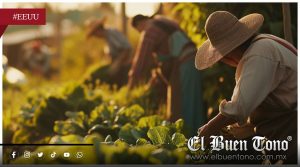 Reformas migratorias en EU agudizan crisis laboral en el campo