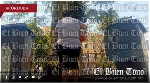 Reunirán a más de 100 especialistas y miembros de Neuróticos Anónimos en Córdoba para abordar depres¡ón y ansiedad