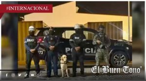 Panamá frena envío masivo de dr0ga hacia Lituania