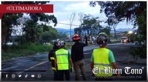 Caos vial en Córdoba-Veracruz: Caída de árbol bloquea acceso a autopista