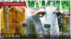 Protegen ganado contra el frío; extreman cuidados por humedad