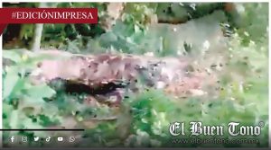 Reja estorba a fauna silvestre; urge retirarla, dicen vecinos