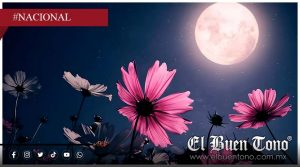 Luna rosa 2026: ¿A qué hora y en qué lugares de México podrá observarse?