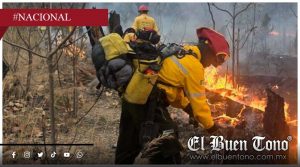 Incendio arrasa más de 200 hectáreas en el Bosque de la Primavera