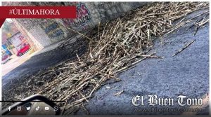 Denuncian que carros cañeros bloquean puente de la ex caseta de Fortín y dejan caña tirada