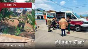 Abejas atac4n a cinco personas en Monte Blanco, Fortín