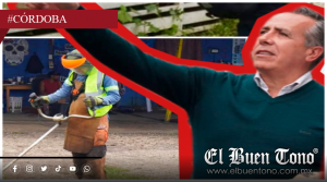 Estafa publicitaria: Las podadoras que Alonso presumió como su primera acción de gobierno eran prestadas