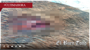 Rescatistas denuncian abandono de animales de compañía por gusano barrenador