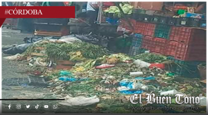 Regidoras y cámaras empresariales: Señaladas por cobardía y parálisis en el caos del ambulantaje