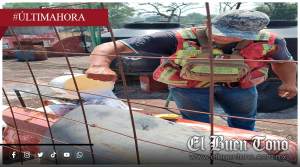 Se bota válvula de tanque estacionario y origina movilización