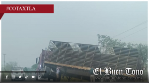 Camión averiado bloquea tramo Mata Espino–El Moralito en Cotaxtla
