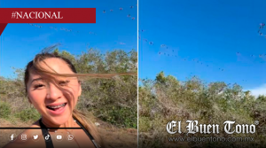 Influencer Elisa La Yuca es criticada por espantar a una parvada de flamencos en Yucatán