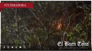 Cortocircuito provoca movilización en Río Blanco; autoridades atienden emergencia