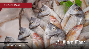 Venta de “pescado falso” en México alcanza 38%; alertan fraude y riesgo ambiental