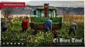 Suben precios de alimentos por segundo mes: Conflicto en Oriente Medio presiona costos globales