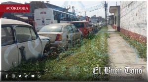 Operativo ‘Autos Maceta’: El teatro de la simulación y la complicidad de ‘El Gavilán’