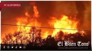 VIDEO|Incendio forestal de gran magnitud en California obliga a evacuaciones masivas