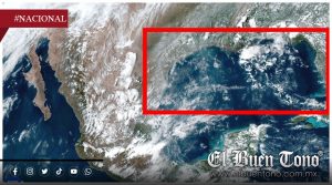 EU elimina restricciones ambientales para impulsar petróleo; alertan riesgo para especies