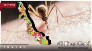 Veracruz y las Altas Montañas con más casos de dengue; reportan una defunción confirmada en 2026