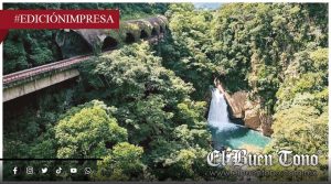 Familia es víctima de la inseguridad; Atoyac carece de Policía Municipal