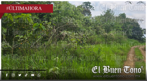 Hallan cr4n3o humano en cafetal de Fortín