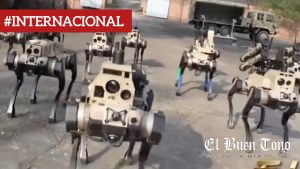 China muestra perros-robot militares capaces de at4car en grupo y ser controlados por un solo soldado