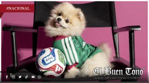 Adidas lanza jerseys mundialistas para perros y sorprende a los aficionados