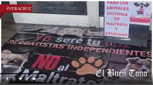 Impulsan en Veracruz iniciativa para crear registro estatal de m@ltratadores de animales