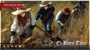 Localizan r3sto$ de al menos 20 personas en zona serrana de Cortazar, Guanajuato