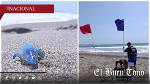 Michoacán activa bandera morada por medusa dragón azul