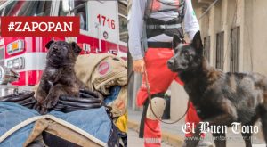 Despiden con honores a “Capitán”, perro rescatista que sirvió 10 años en Protección Civil y Bomberos de Zapopan